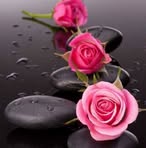 Mildred Martinez Almodovar - Facebook