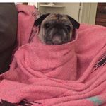 Millybobillybananananafofilly - @mildred_anderson_ - Instagram