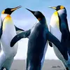 MildredArthur8 - @mildredarthur8 - TikTok