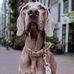 Mildred Ashley - Facebook