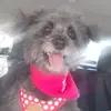 Mildred Baez - @mildred.baez8 - TikTok