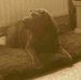 Mildred Barber - Facebook