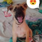 Mildred de Barberi - @mildreddebarberi - Instagram