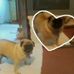 Mildred Barnard - Facebook