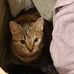 Millie Bean - Facebook