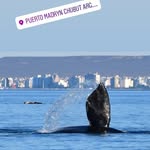 mildred elizabeth berry - @mildred_berry65 - Instagram