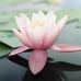 Mildred Betts - Facebook