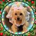 Mildred Biggs - Facebook