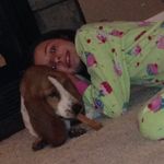 Mildred Blue - @milber_blue_basset - Instagram