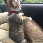 Mildred Brand - @mildredbrand - Instagram