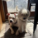Brandon_and_Mildred - @brandon_and_mildred - Instagram
