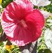 Mildred Britton - Facebook