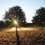 Mildred Bryant - @mildredbryant749 - Instagram