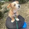 milly bryson - @milly.bryson - TikTok