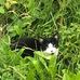Millie Caesar - Facebook