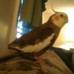 Mildred Charles Engle - @mildred.engle1 - Instagram