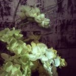 Mildred Chatman - @bauertickoslay - Instagram