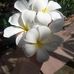 Mildred Chatman - Facebook