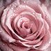 Mildred Cherry Capellan Reyes - Facebook