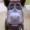 Mildred Cochrane - @mildredcochrane4822 - TikTok