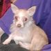 Mildred Conn - Facebook