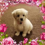 Mildred Conner Hunt - @mildredhunt534 - Instagram