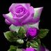 Mildred Cordero - Facebook