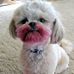 Millie Darnell - Facebook