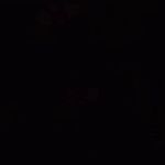 Mildred Edwards - @mildred_edwards_424284 - Instagram