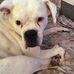Mildred Ferrell - Facebook