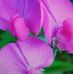 Mildred Fulton - Facebook