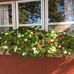 Mildred Fulton - Facebook