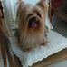 Mildred Gaston - Facebook