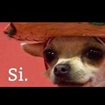 Mildred Gil - @mildred.gil.71 - Instagram