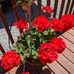 Mildred Grant - Facebook