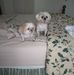Mildred Hammer - Facebook