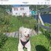 Mildred Billard Hatcher - Facebook