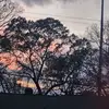 Mildred Herrera - @mildredherrera17 - TikTok