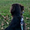 Mildred Higgins - @mildredhiggins_4343 - TikTok