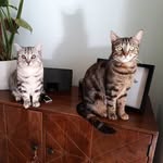 Mildred & Marv's House - @mildredandmarvs - Instagram