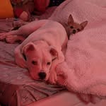 Mildred Hull - @mildred.frank.581 - Instagram