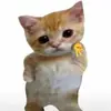 mildredhaydeee - @mildredhaydeee - TikTok
