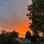 Mildred Jansen - @mildredjansen4660 - Instagram