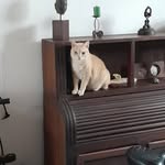 Mildred Knox - @clicsbymil - Instagram