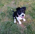 Mildred Leonard - Facebook