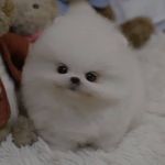 Mildred Lowe - @m.lowe_61 - Instagram
