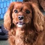 Luke mildred - @lukemildred3 - Instagram