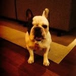 Mildred Moons Lytle - @milliemoons - Instagram