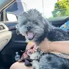 Mildred Male - @mildred.male - TikTok