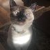 Millie Mansfield - Facebook